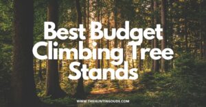Best Budget Climbing Tree Stand