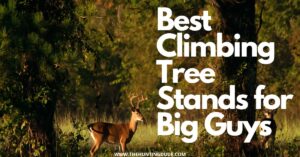 Best Climbing Tree Stand for Big Guys