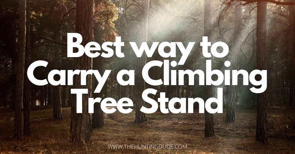 Best Way To Carry a Climbing Tree Stand