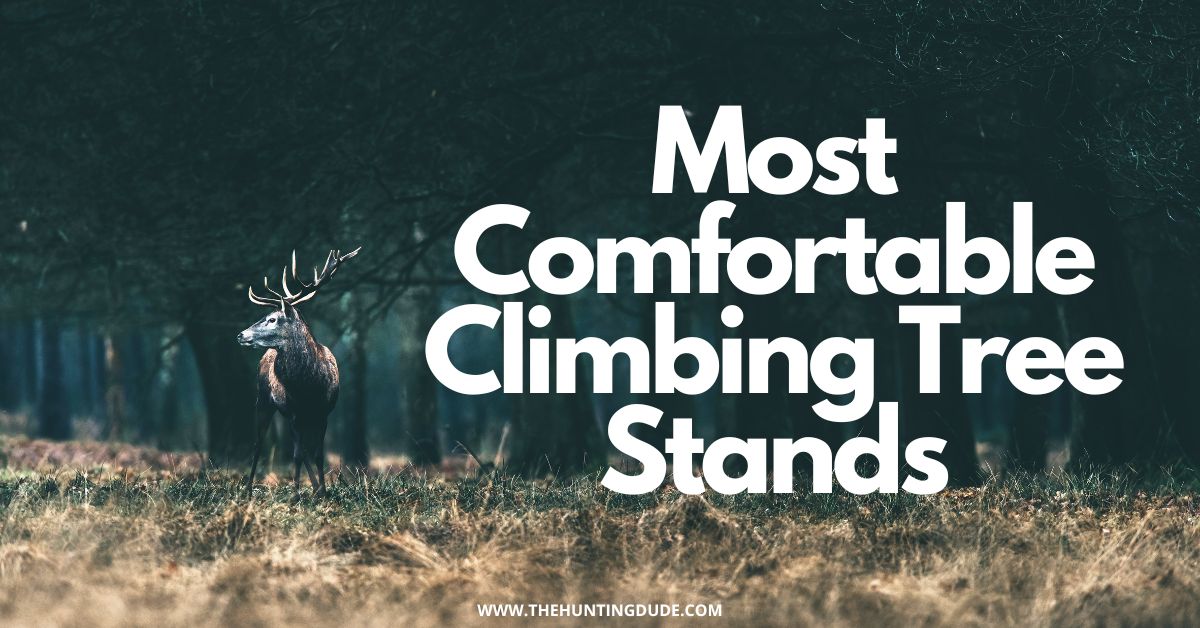 Most Comfortable Climbing Tree Stand