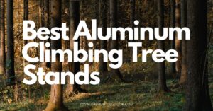 Best Aluminum Climbing Tree Stand