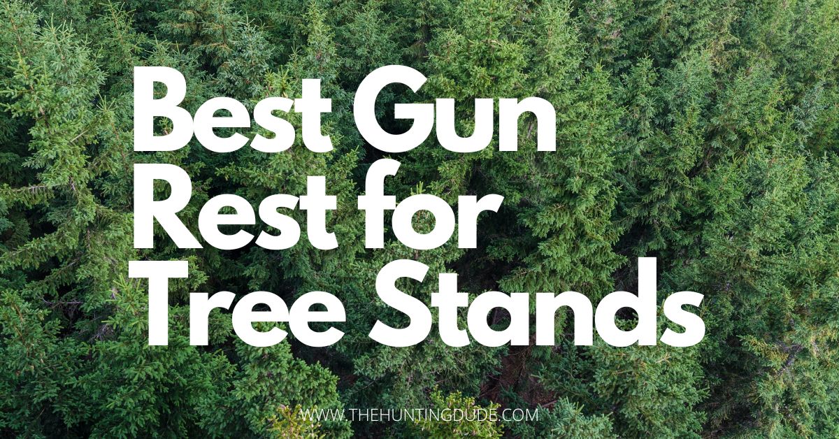 Best Gun Rest for Tree Stands