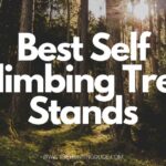 Best Self Climbing Tree Stands