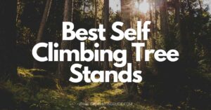 Best Self Climbing Tree Stands