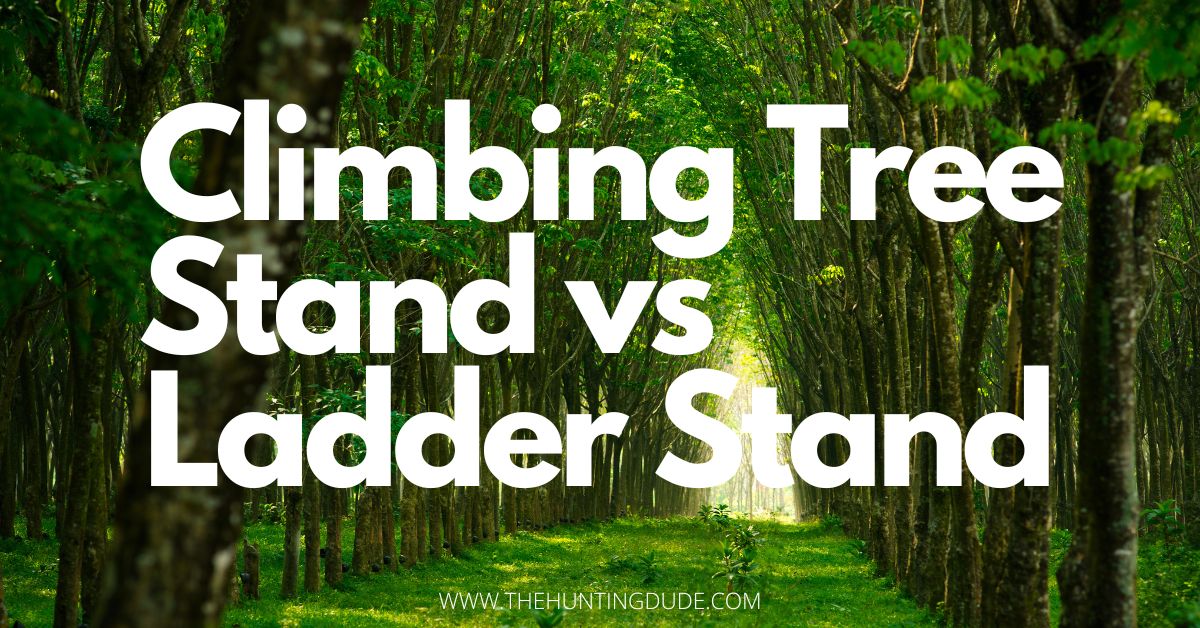 Climbing Tree Stand vs Ladder Stand