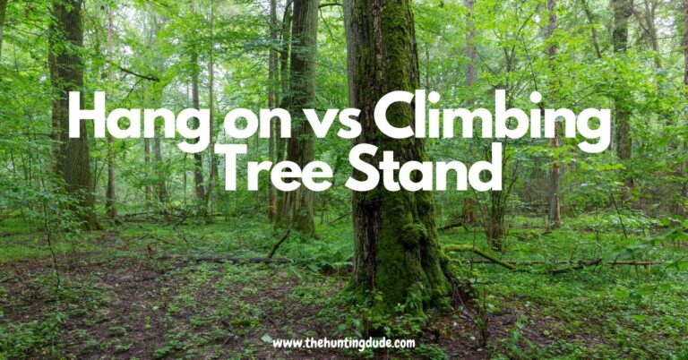 Hang on vs Climbing Tree Stand: Which One is Right for You? - THE ...