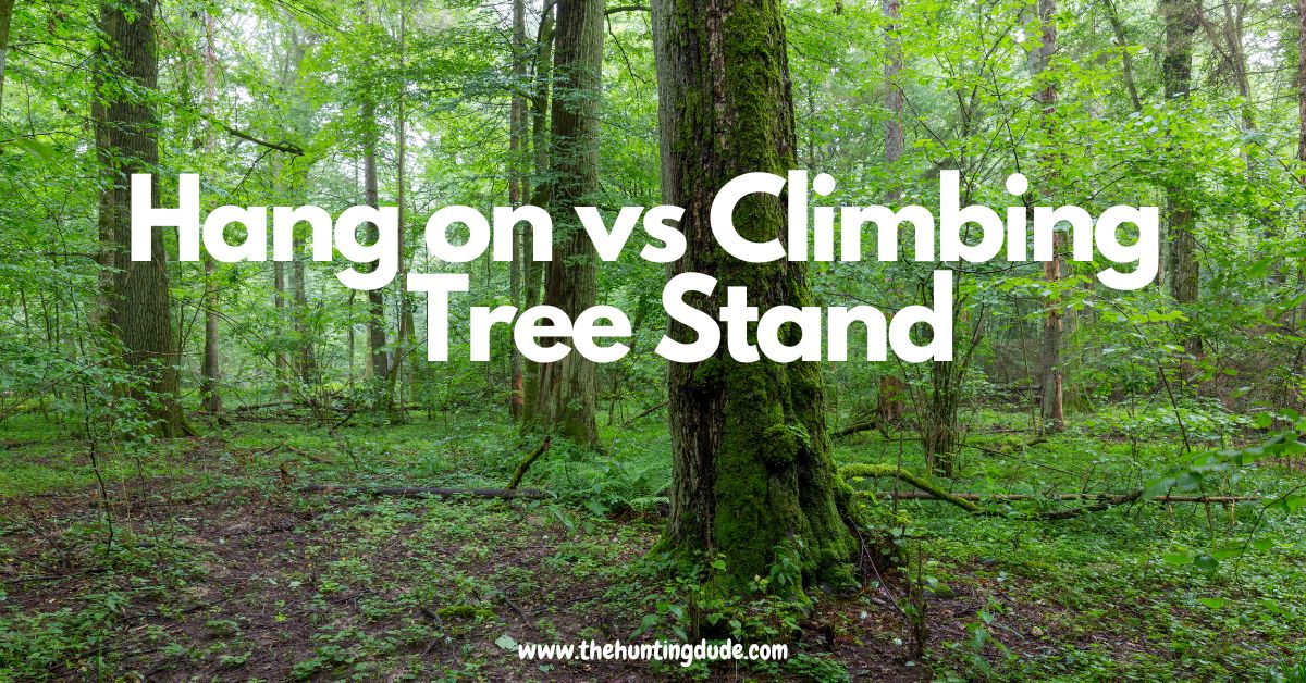 Hang on Vs Climbing Tree Stand
