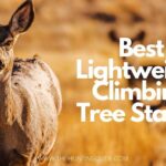 Best Lightweight Climbing Tree Stands
