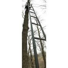 Loggy Bayou 18ft Ladder Stand