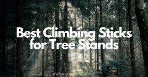 Best Climbing Sticks for Tree Stands