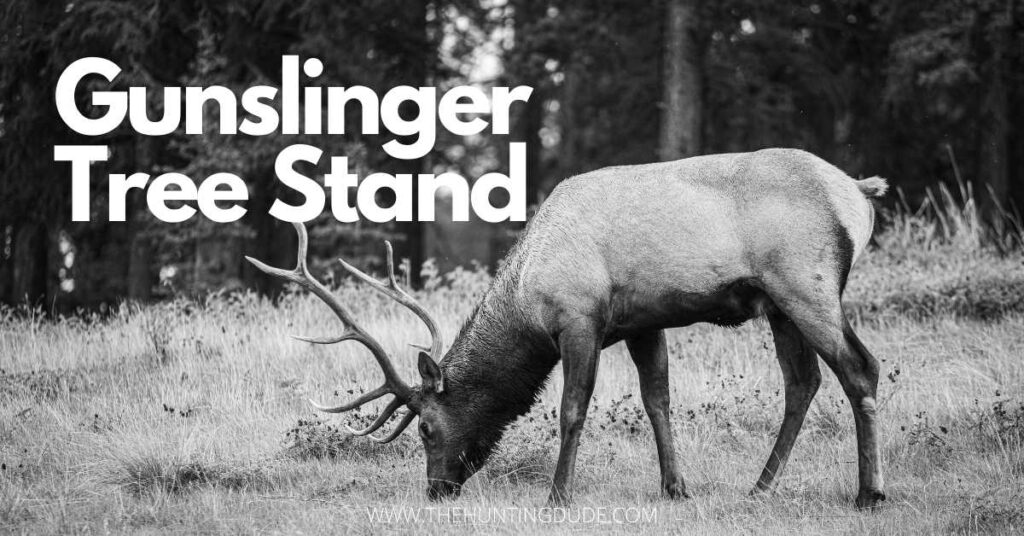 Gunslinger Tree Stand All You Need To Know THE HUNTING DUDE