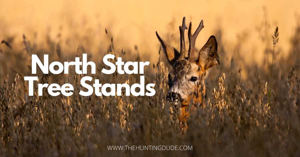 North-Star-Tree-Stands