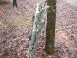 Warren Sweat Tree Stand - All You Need To Know - THE HUNTING DUDE