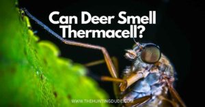 Can-Deer-Smell-Thermacell