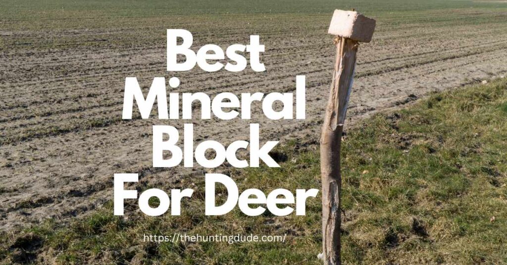 Pick The Best Mineral Block For Deer Hunting A Pro Guide THE HUNTING DUDE