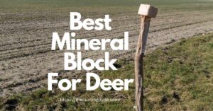 best-mineral-block-for-deer