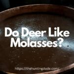Do-Deer-Like-Molasses