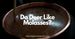 Do-Deer-Like-Molasses