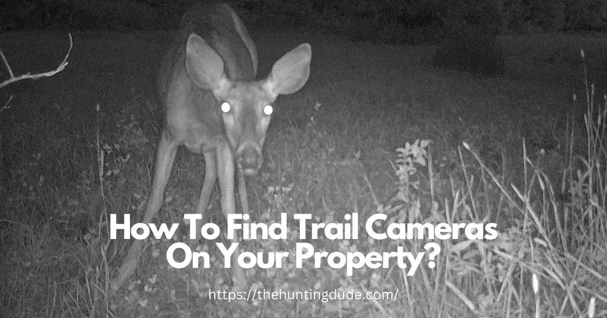 How-To-Find-Trail-Cameras-On-Your-Property
