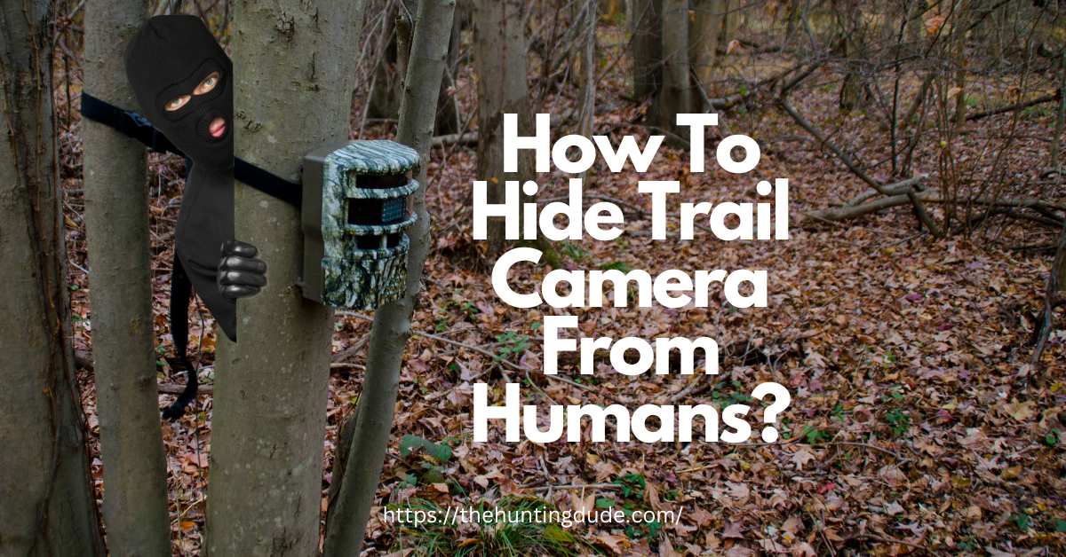 How-To-Hide-Trail-Camera-From-Humans