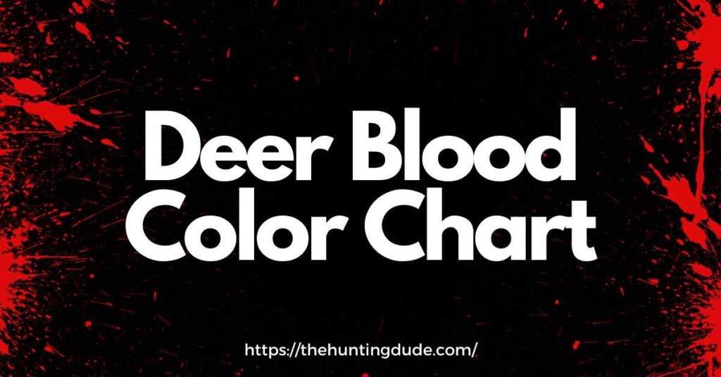 How to Track a Wounded Deer Using Deer Blood Color Chart? THE HUNTING