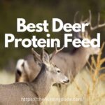 Best Deer Protein Feed