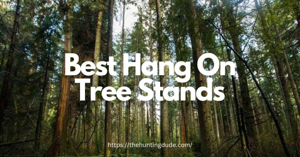 10 Best Hang On Tree Stands of 2024 - An Ultimate Guide - THE HUNTING DUDE